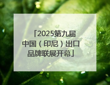 2025第九届中国（印尼）出口品牌联展开幕