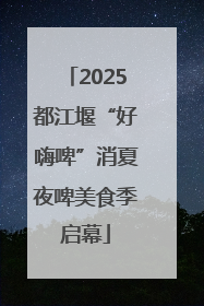 2025都江堰“好嗨啤”消夏夜啤美食季启幕