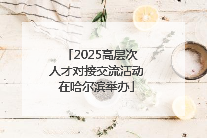 2025高层次人才对接交流活动在哈尔滨举办