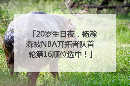 20岁生日夜，杨瀚森被NBA开拓者队首轮第16顺位选中！