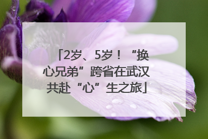 2岁、5岁！“换心兄弟”跨省在武汉共赴“心”生之旅