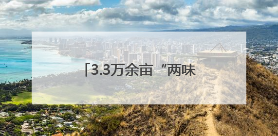 3.3万余亩“两味药”背后 沙湾重点突出“三性”推动产业实践丨新闻发布最前线