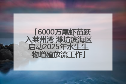6000万尾虾苗跃入莱州湾 潍坊滨海区启动2025年水生生物增殖放流工作