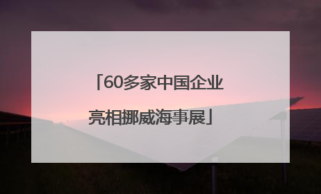 60多家中国企业亮相挪威海事展
