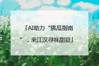 AI助力“挑瓜指南”，来江汉寻味甜夏